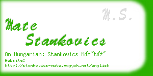 mate stankovics business card